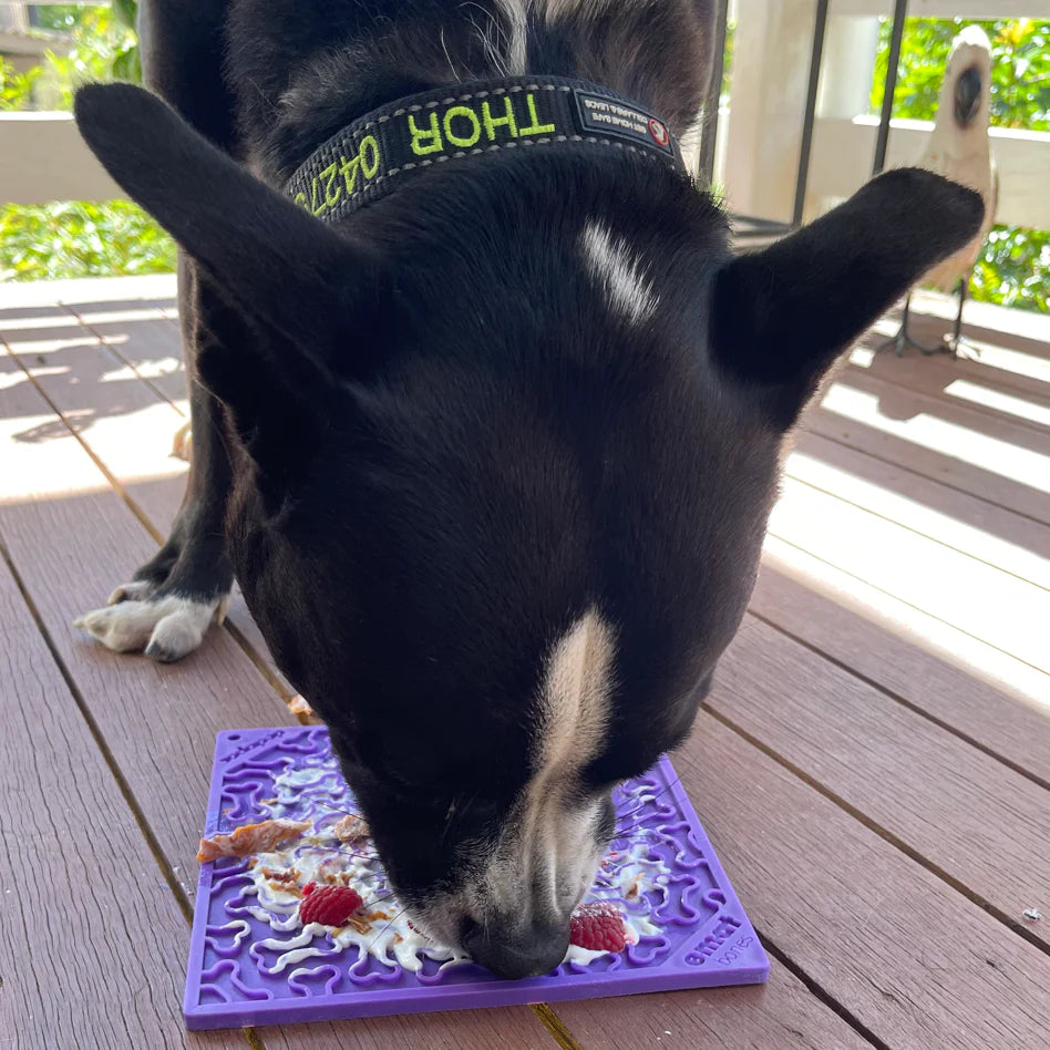 SodaPup Bones Enrichment Mat