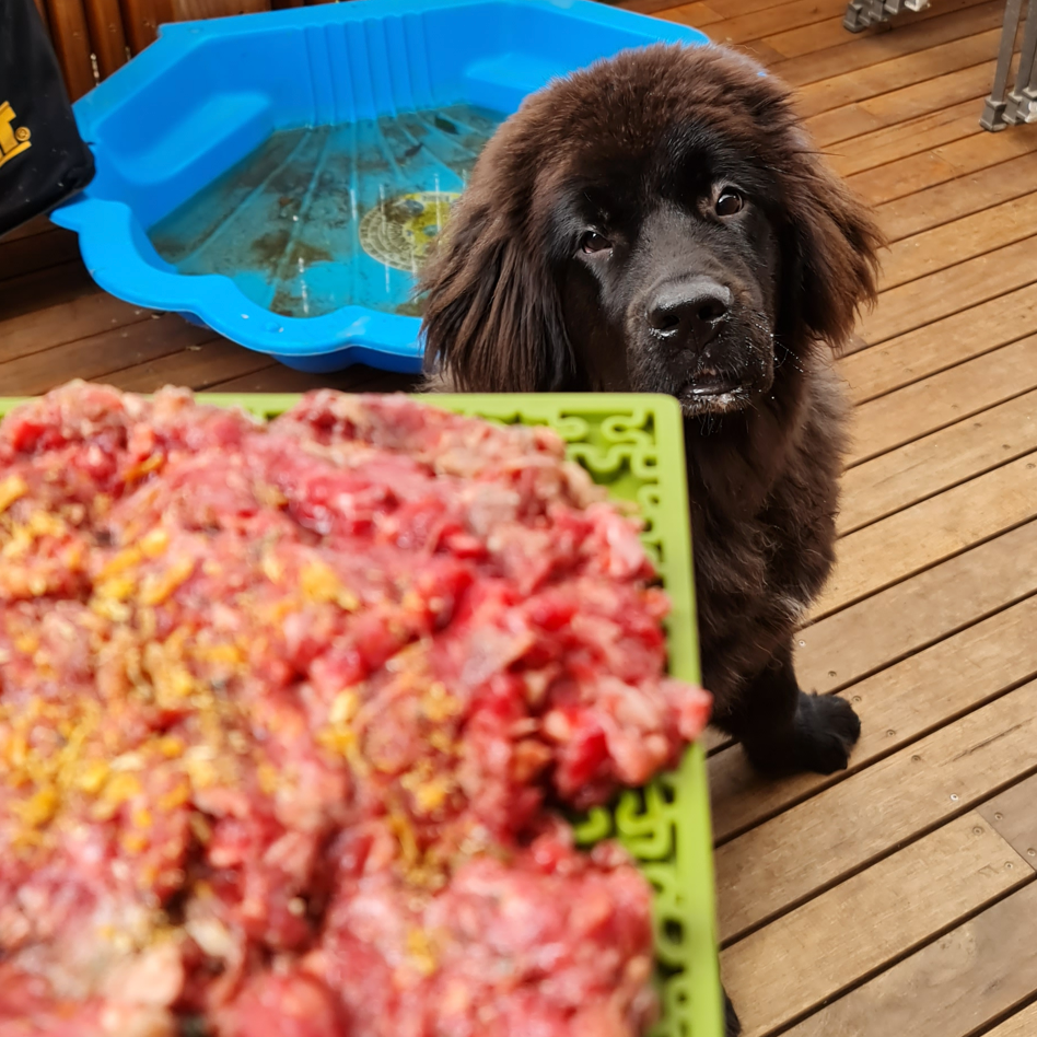 SodaPup Jigsaw Enrichment Mat