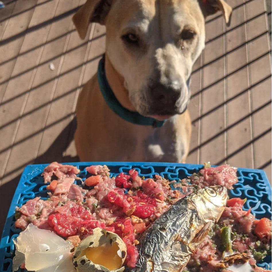 SodaPup Jigsaw Enrichment Mat