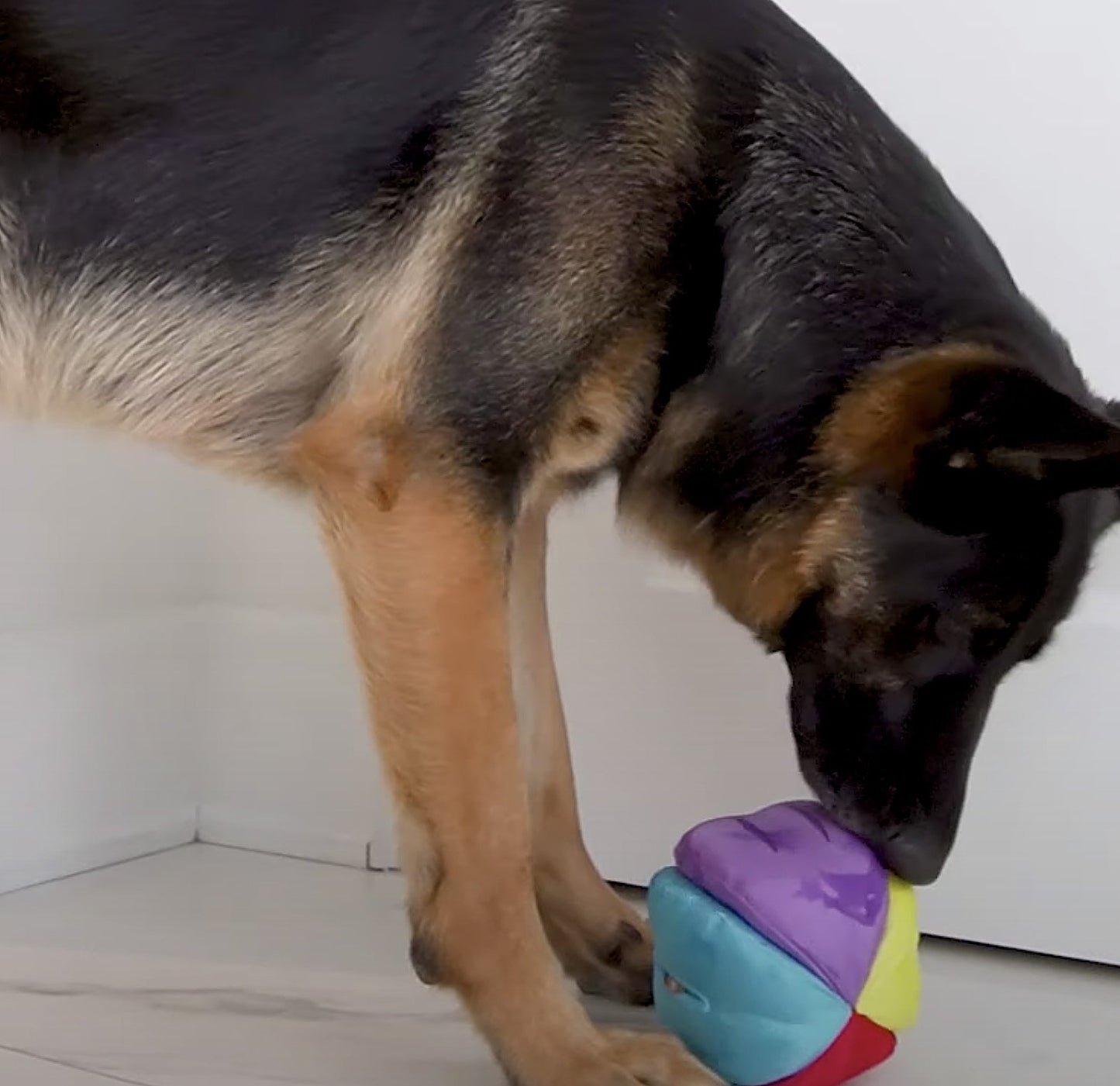Hide n Seek Ball Scent and Snuffle Toy