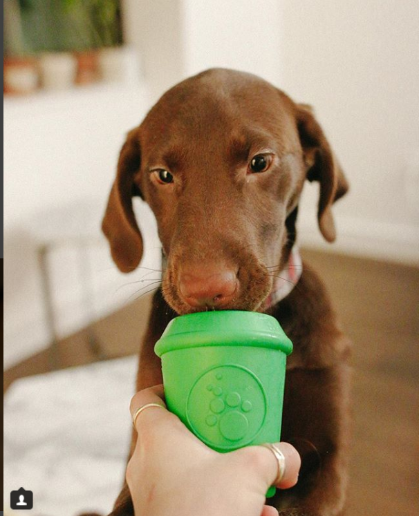 SodaPup Durable Rubber Coffee Cup