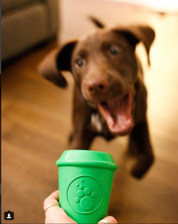SodaPup Durable Rubber Coffee Cup