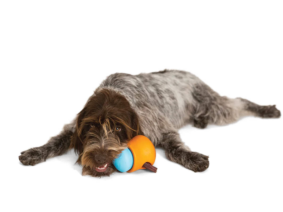 West Paw Toppl Treat Toy