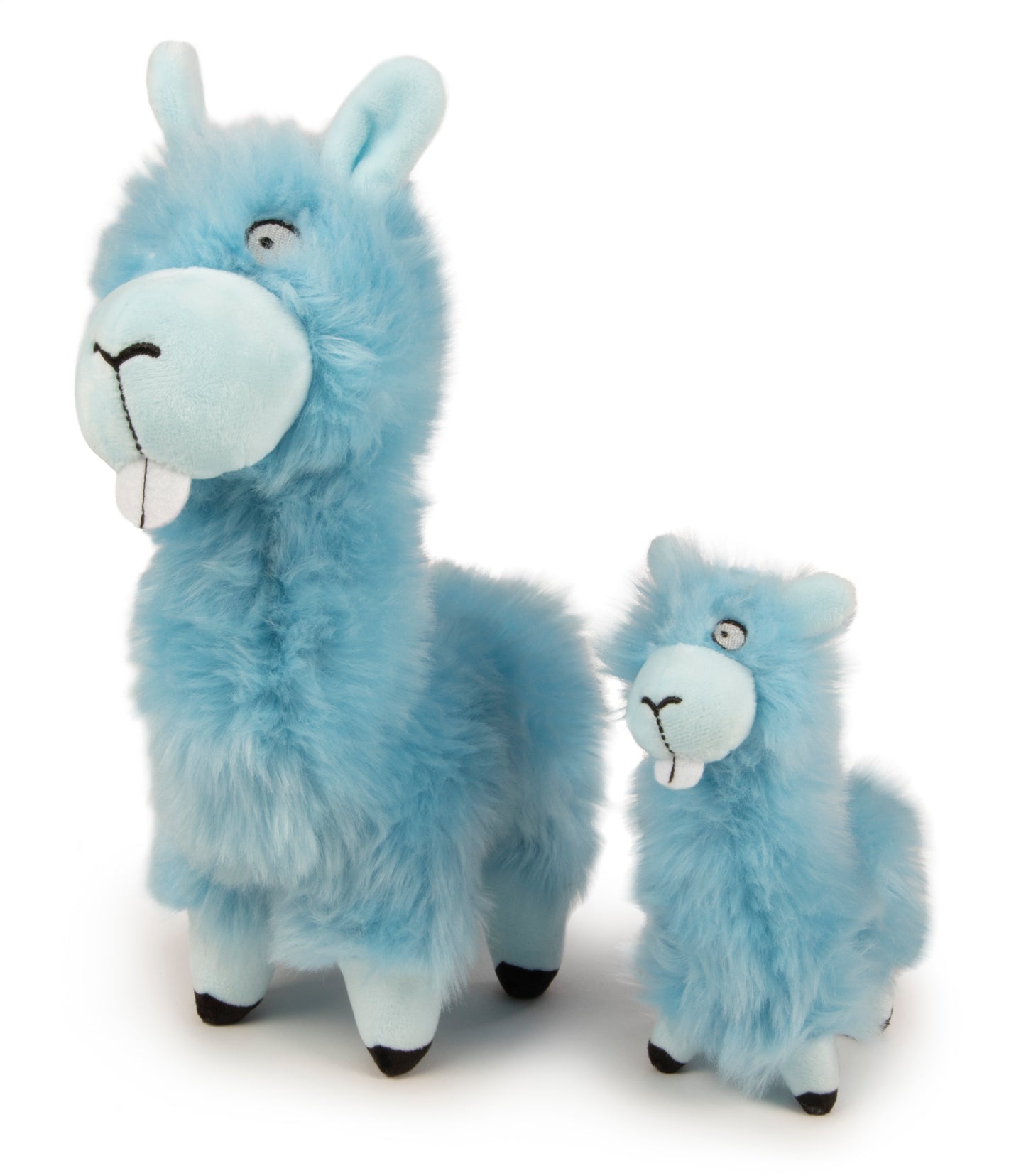goDog Llama