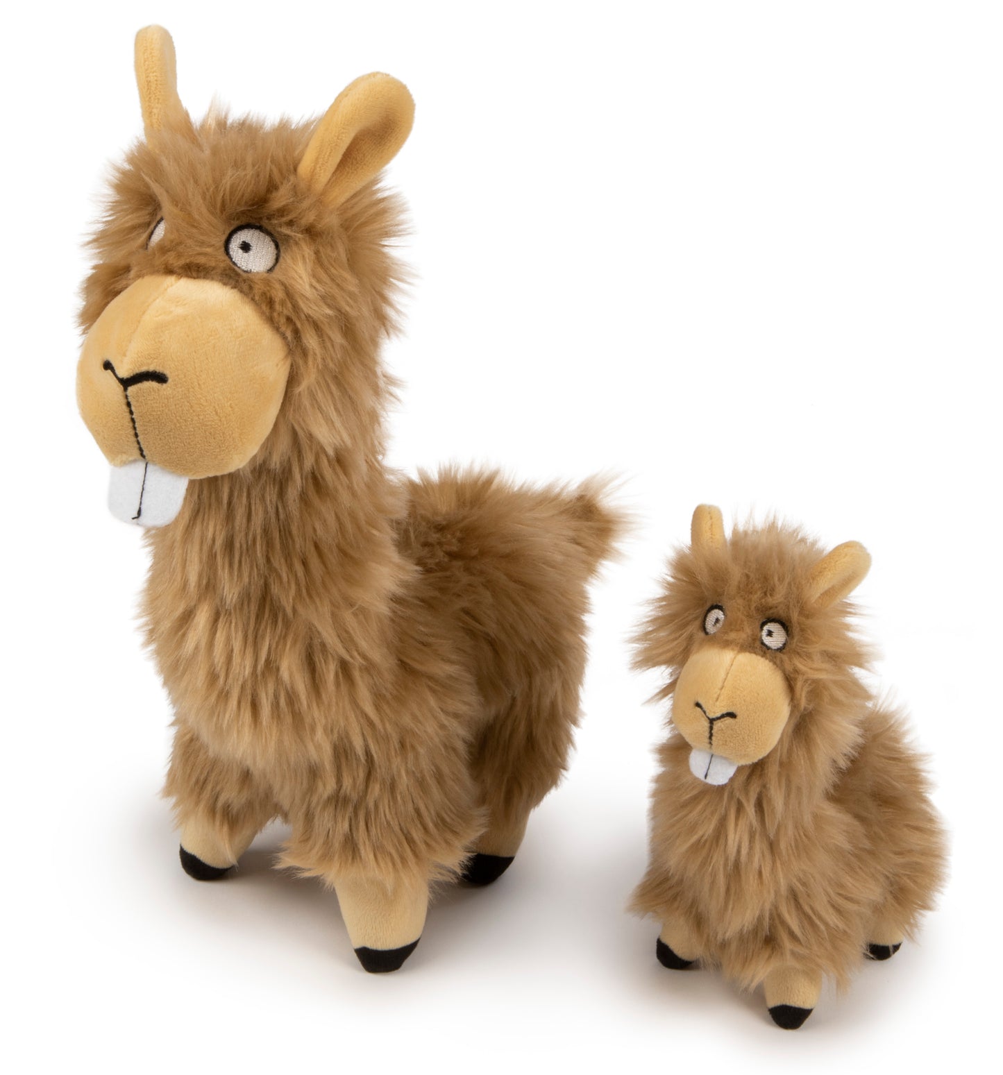 goDog Llama