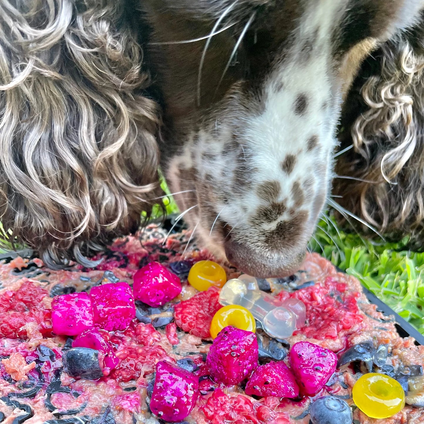 SodaPup Zombie Enrichment Mat