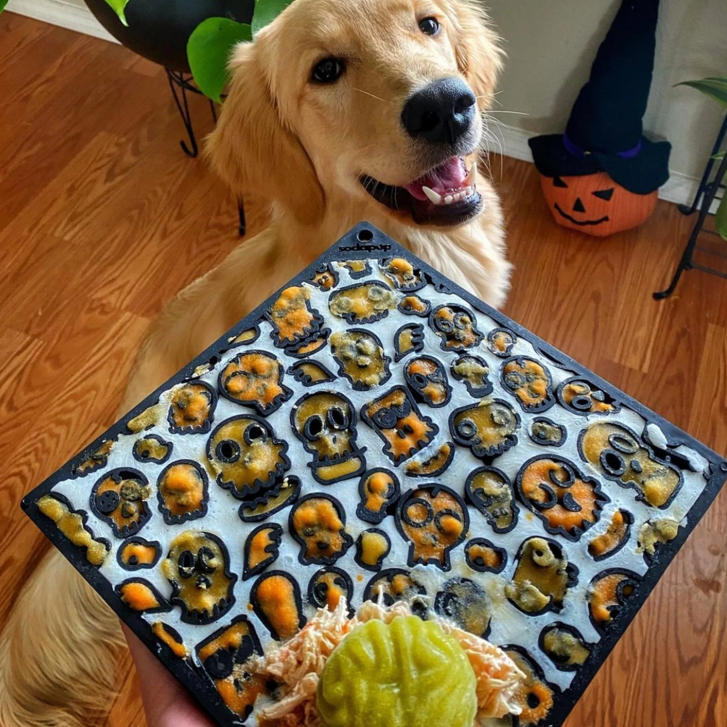 SodaPup Zombie Enrichment Mat