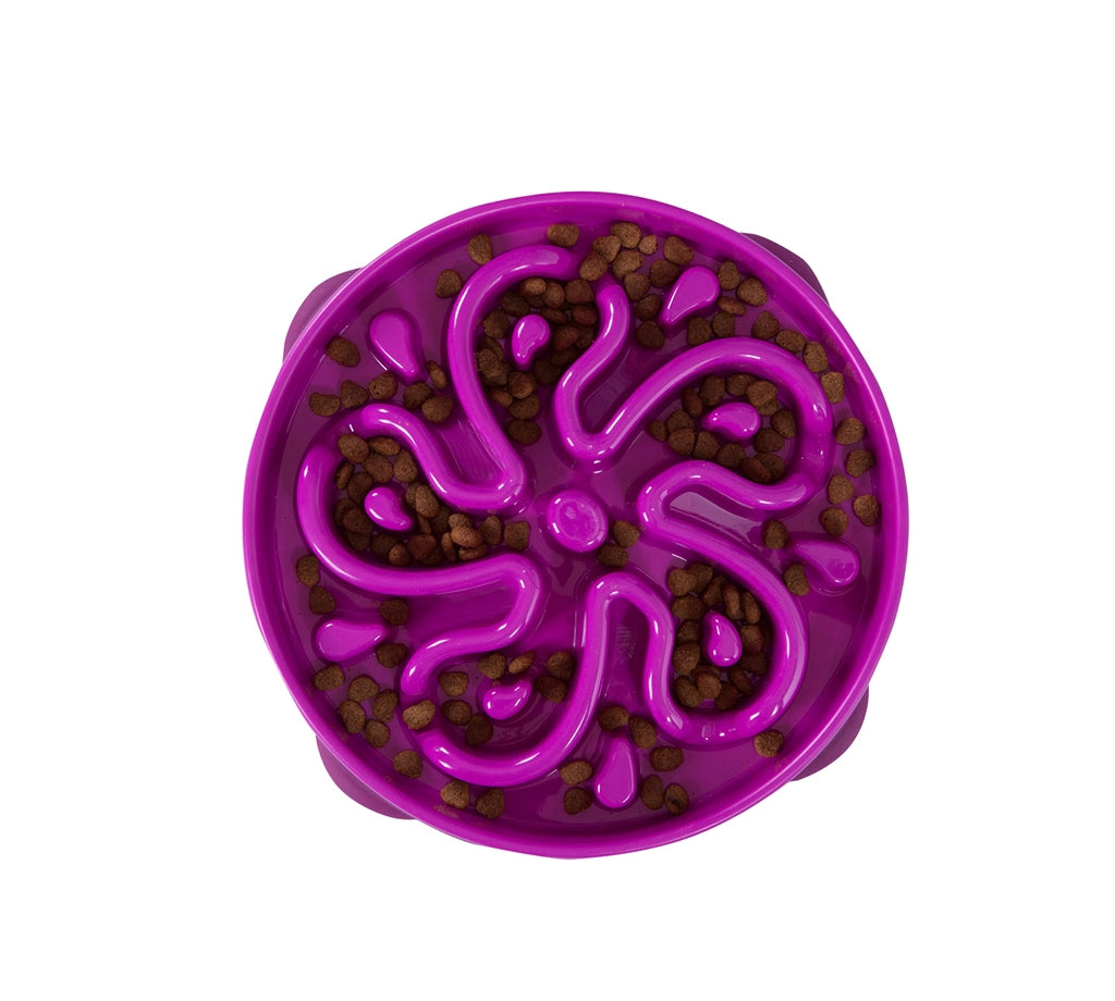 Outward Hound Fun Feeder Slo-Bowl - Purple Flower