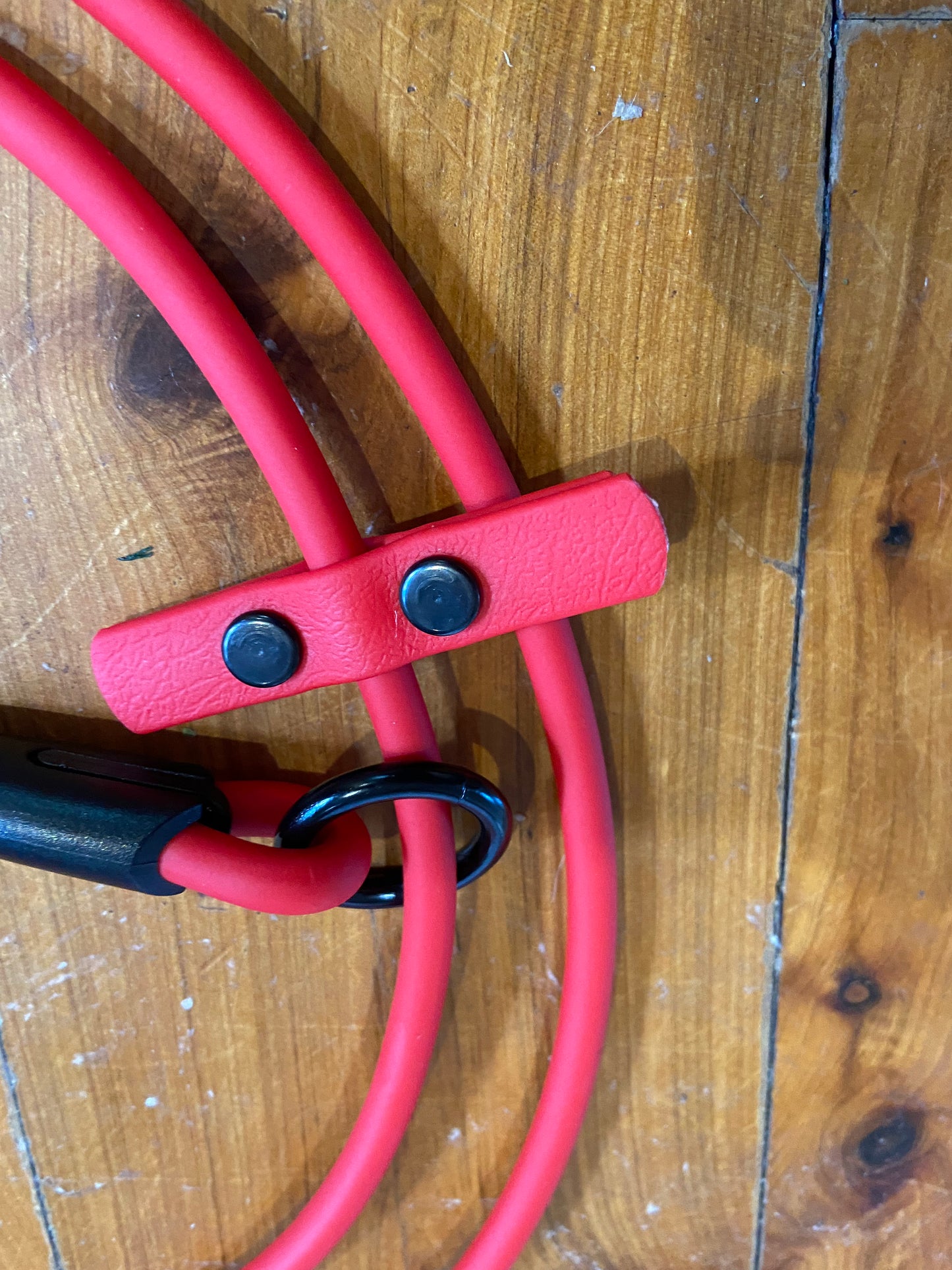 Biothane 1/4"(6mm) Beta Rope Slip Leash