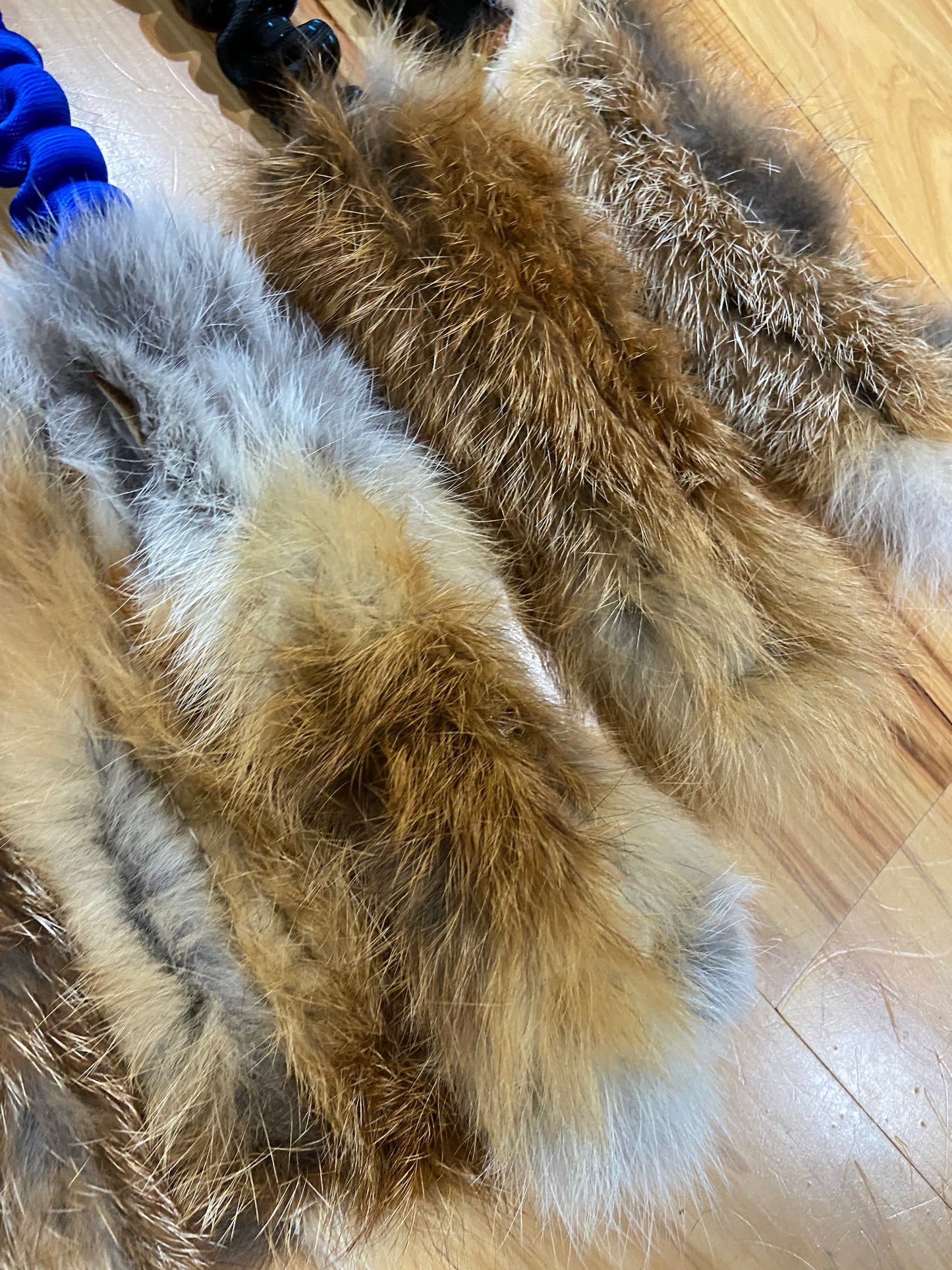 Wild-Tug Fox Bungee Tug Toy