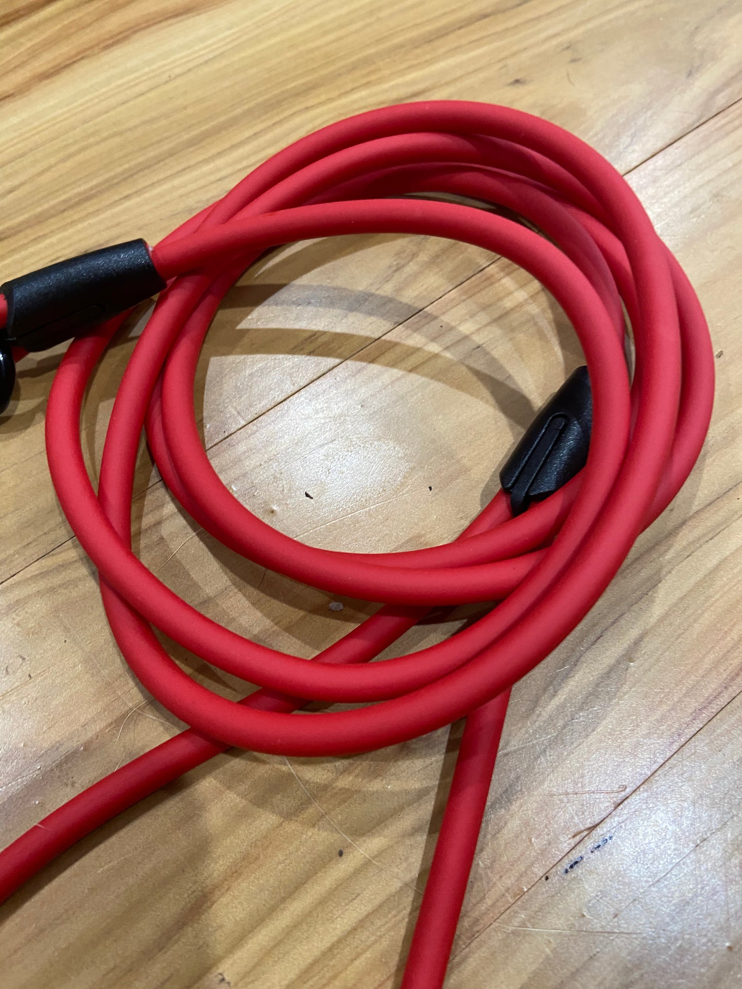 Biothane 1/4"(6mm) Beta Rope 6ft Leash (180cm/1.8m)