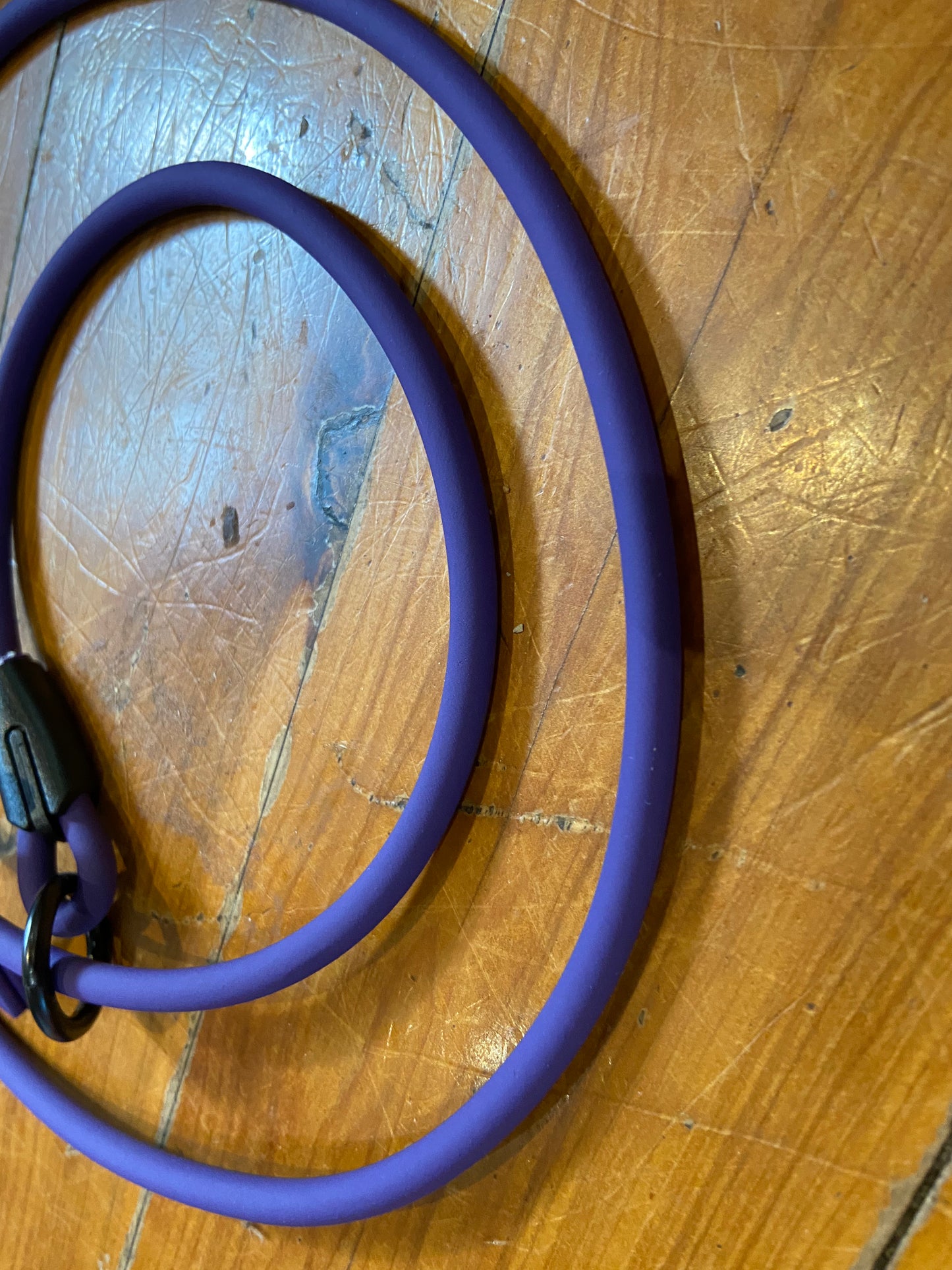 Biothane 1/4"(6mm) Beta Rope Slip Leash