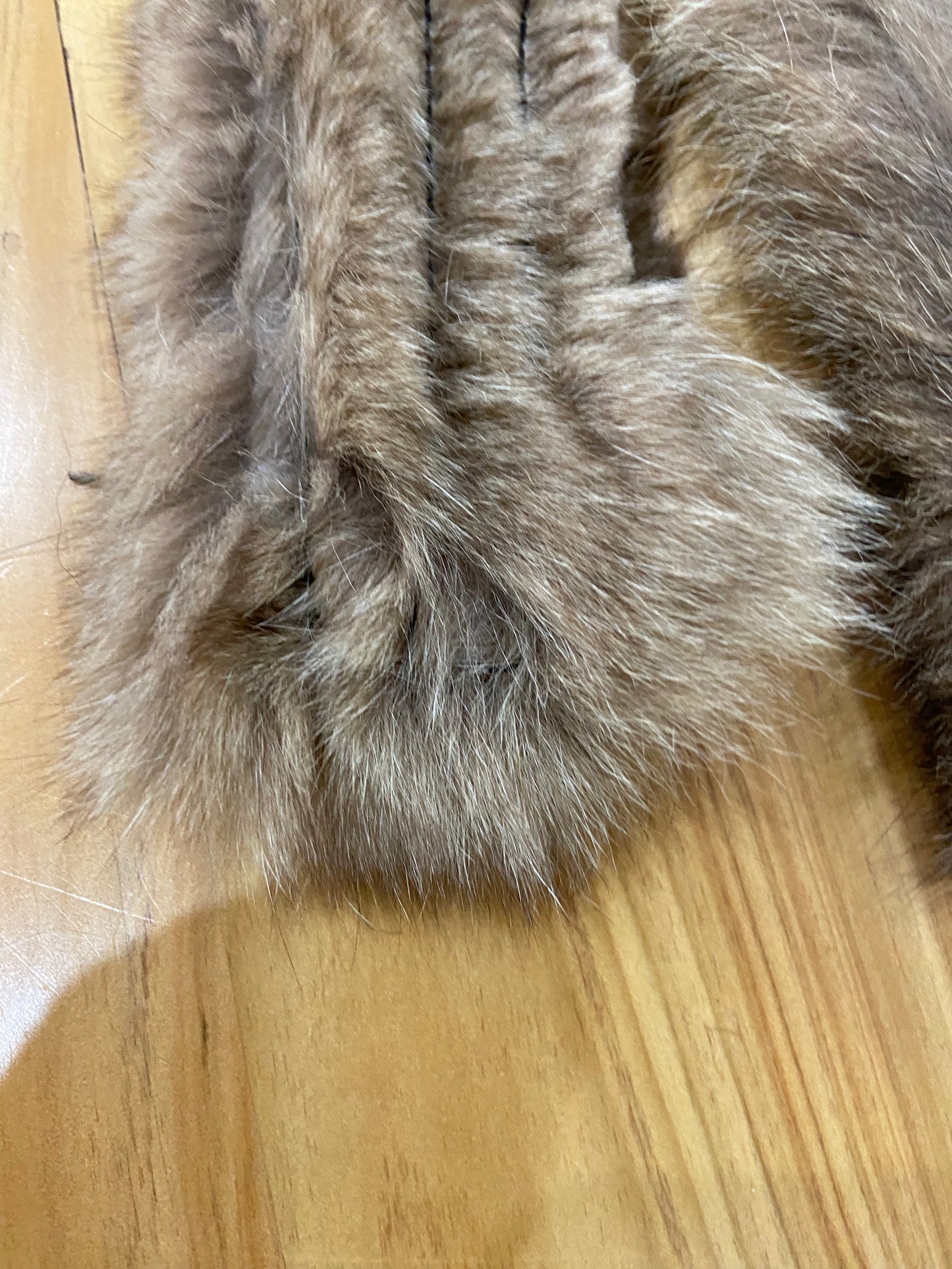 Wild-Tug Kangaroo Bungee Tug Toy