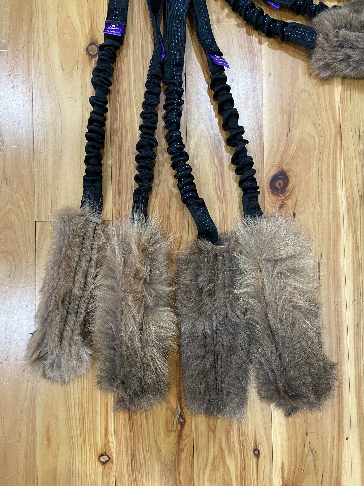 Wild-Tug Kangaroo Bungee Tug Toy