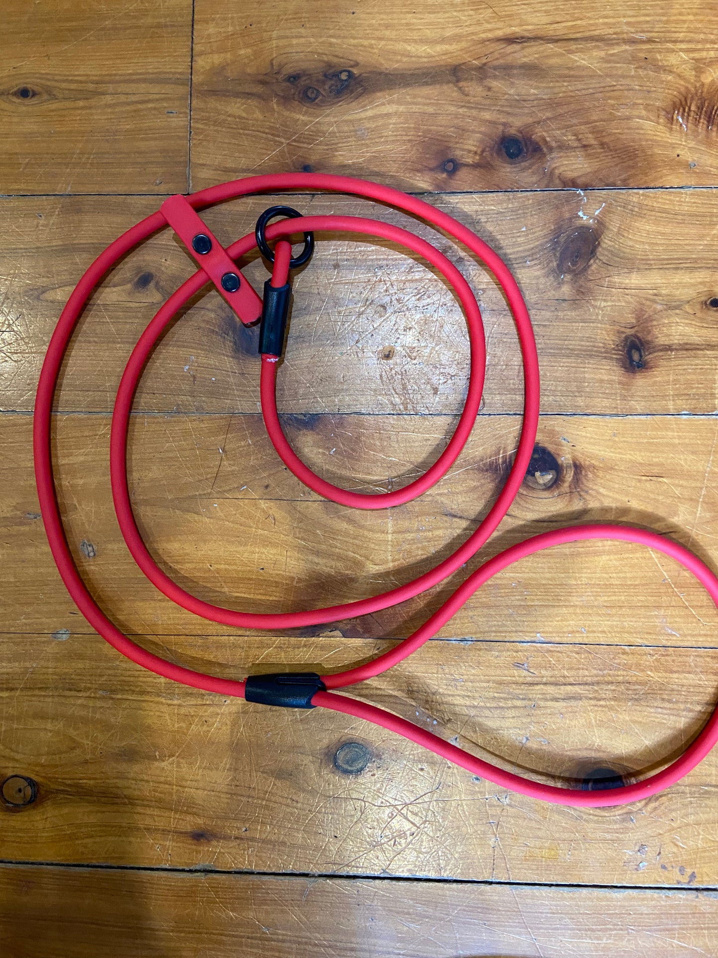 Biothane 1/4"(6mm) Beta Rope Slip Leash