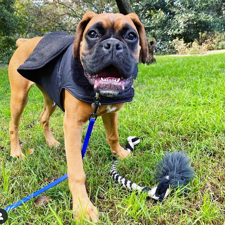 Zoom and Chase Sheepskin Tug