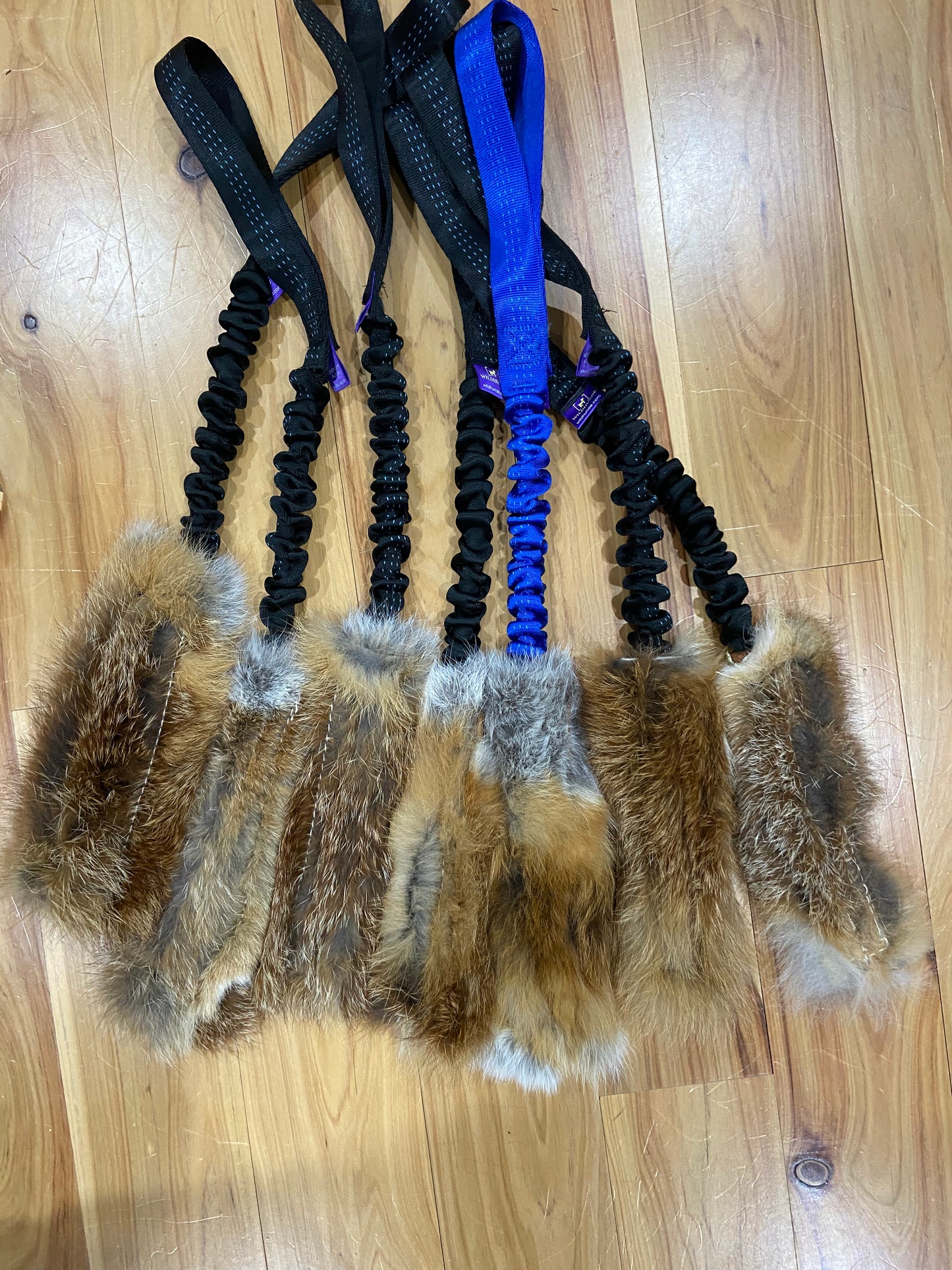 Wild-Tug Fox Bungee Tug Toy