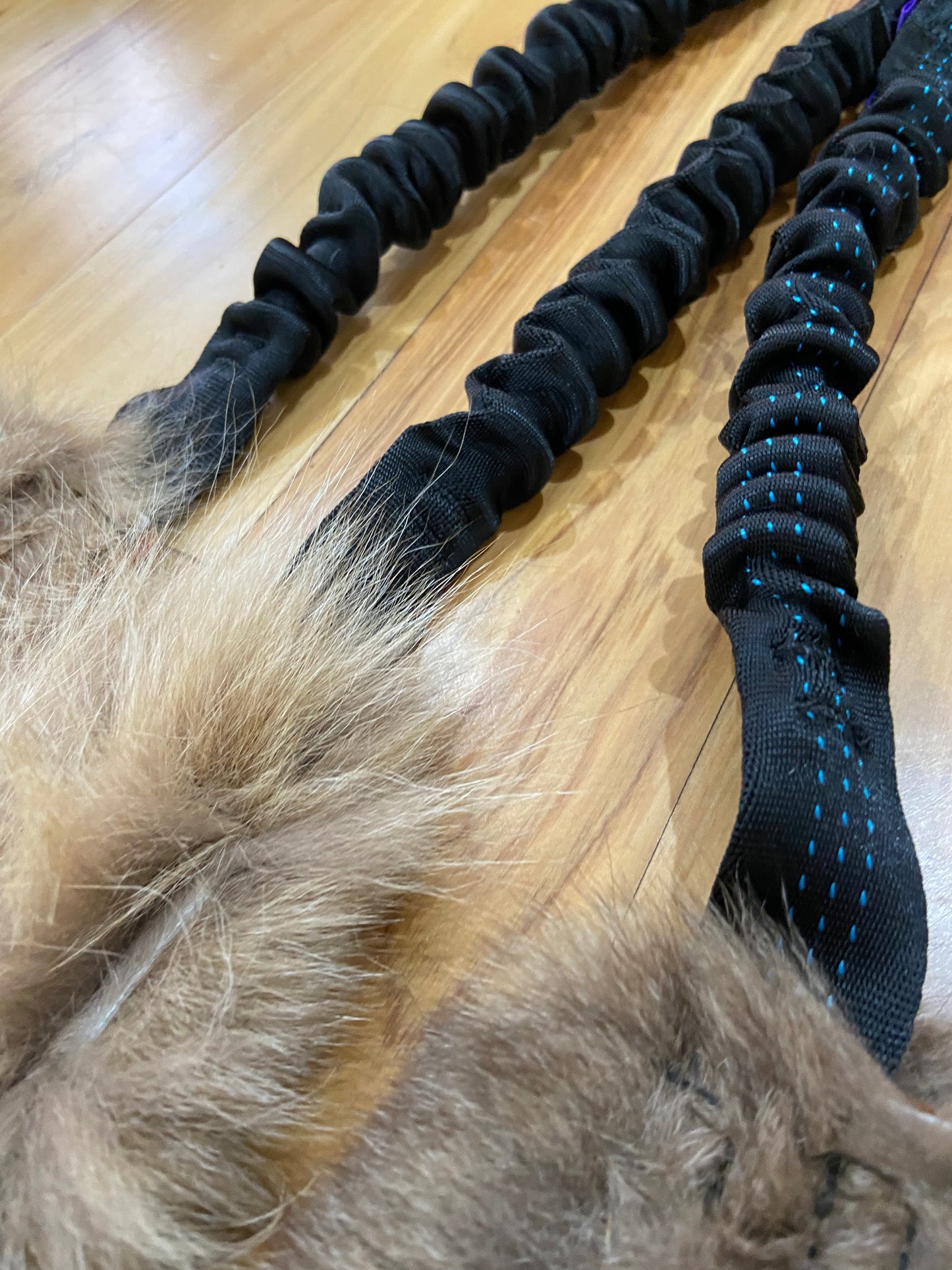 Wild-Tug Kangaroo Bungee Tug Toy