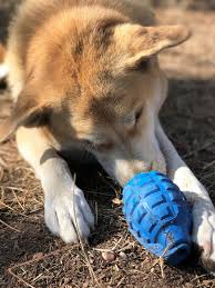 SodaPup Rubber Grenade
