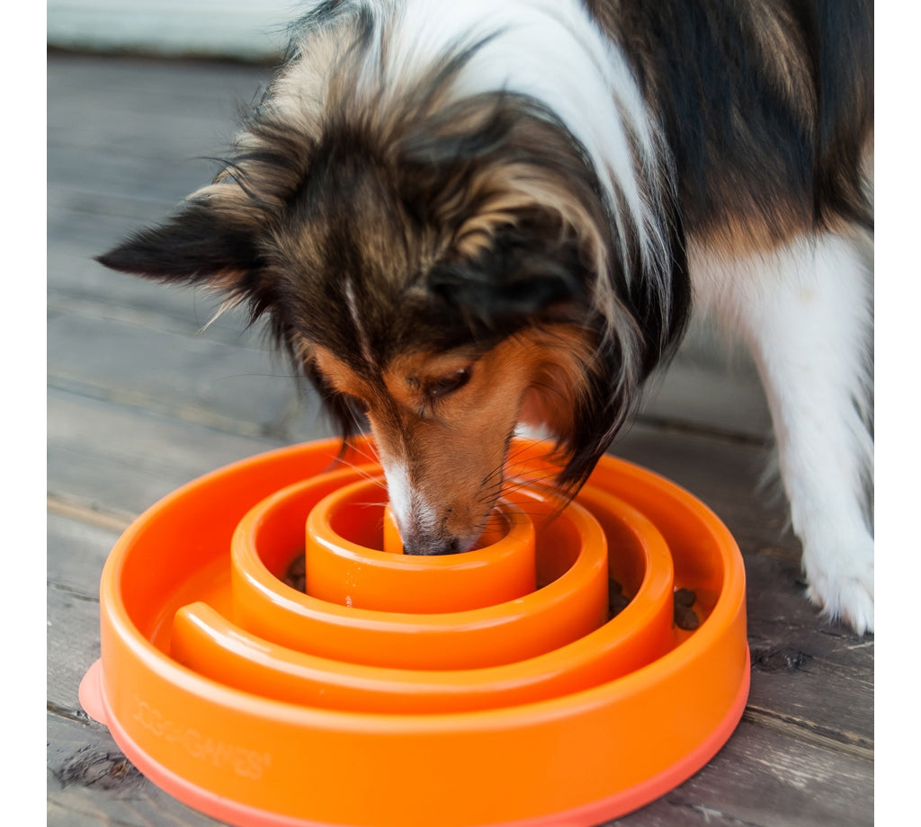Outward Hound Fun Feeder Slo-Bowl - Orange Twirl