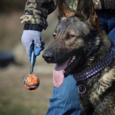 Chuckit! Ultra Tug Ball