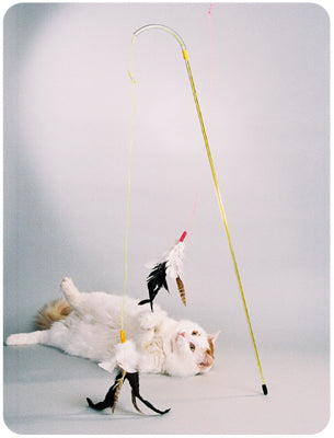 Cat best sale pole toy