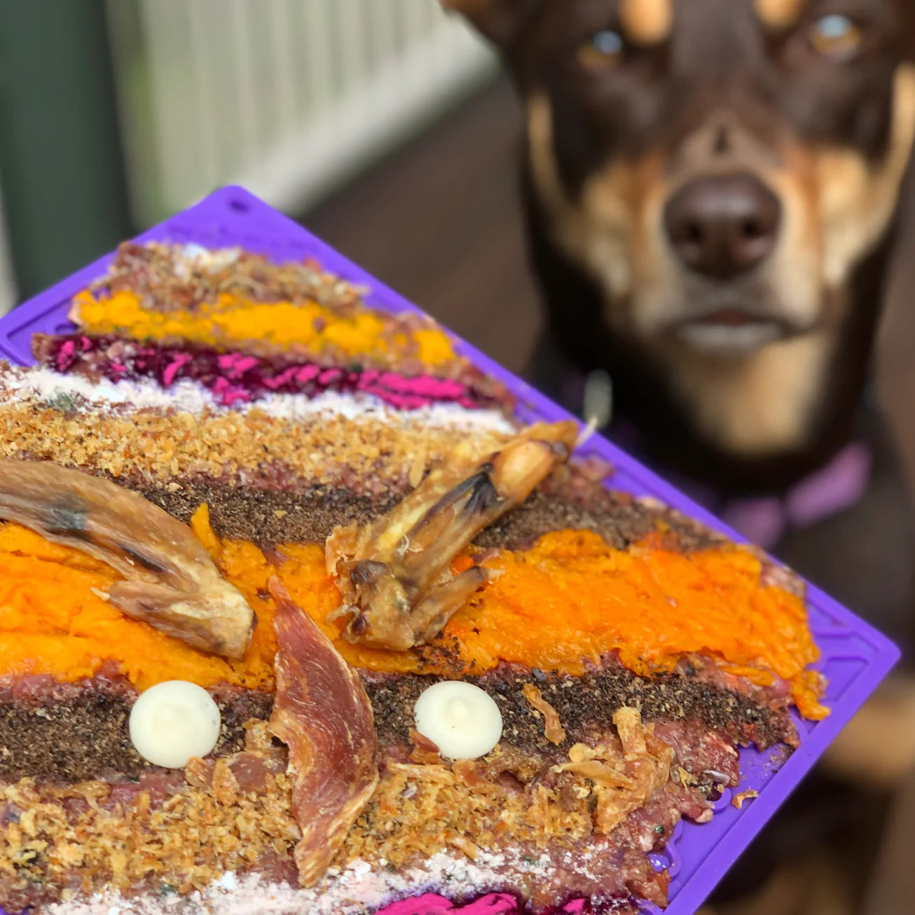 SodaPup Bones Enrichment Mat