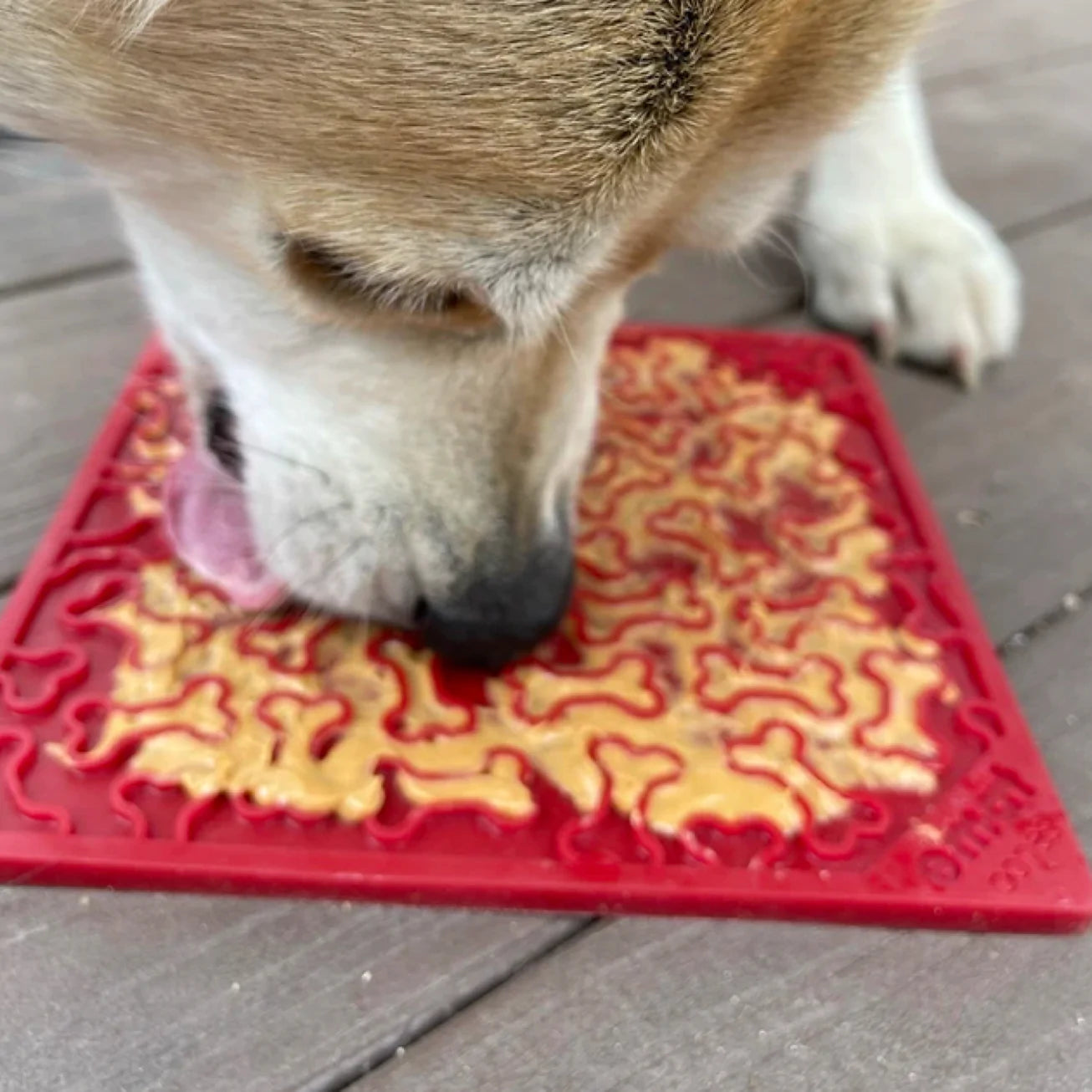 SodaPup Bones Enrichment Mat