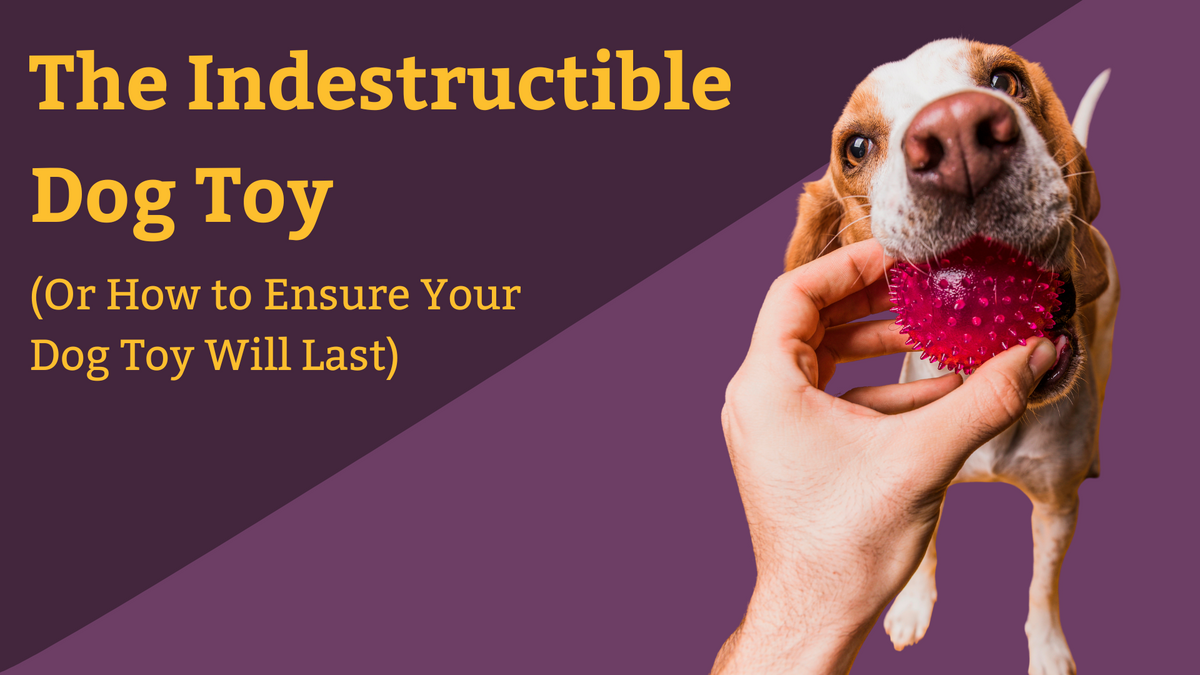 The Elusive Indestructible Dog Toy (Or How to Ensure a Dog Toy Will La