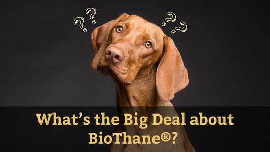 What’s the Big Deal About BioThane®?