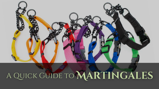 A Quick Guide to Martingales