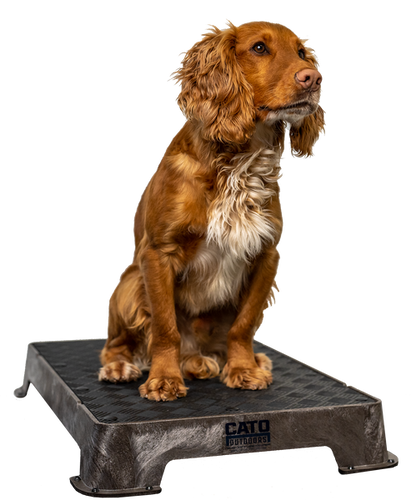 Cato Board Dog Training Platform & Place Board | Non-Slip & Durable