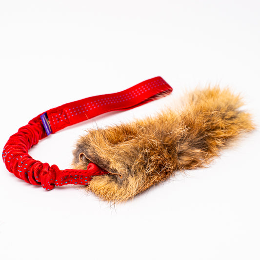 Wild-Tug Fox Bungee Tug Toy