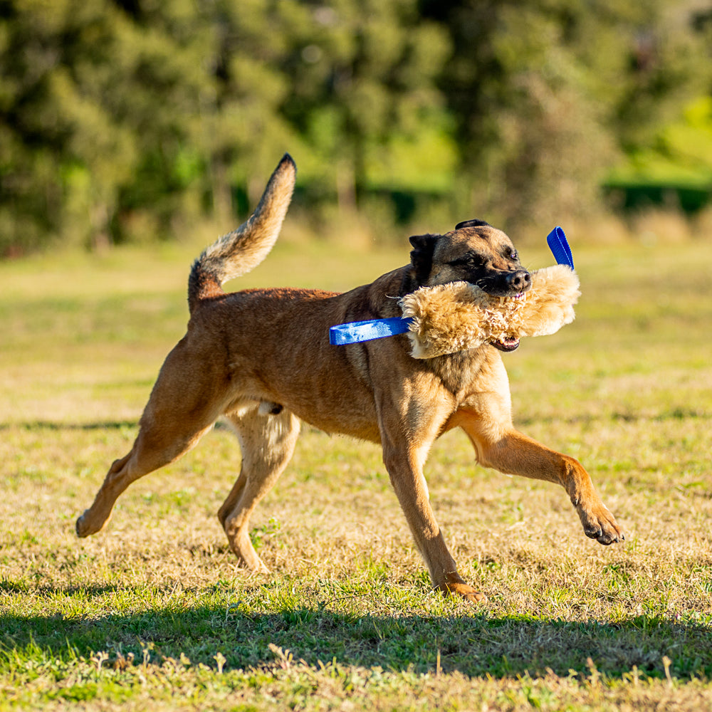 Wild-Tug Long Double Handle Sheepskin Tug Toy