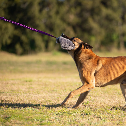 Wild-Tug Long Sheepskin Tug Toy with Drag Line Bungee