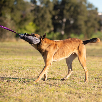 Wild-Tug Long Sheepskin Squeaker Tug Toy with Drag Line Bungee