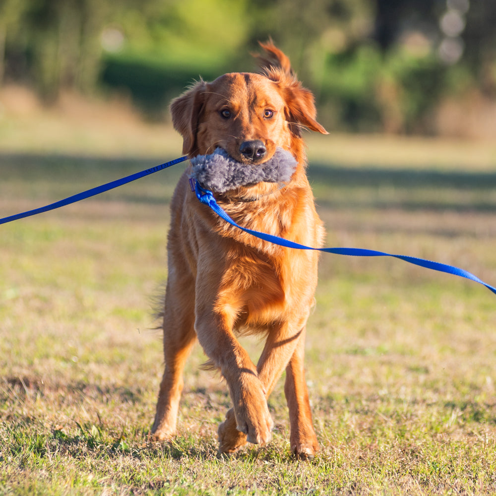 Wildhunde Whirlwind Standard Flirt Pole Australian Made