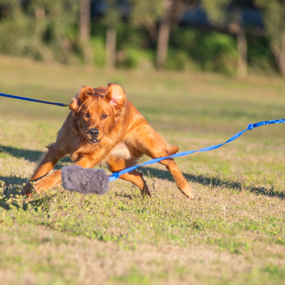 Wildhunde Whirlwind Standard Flirt Pole