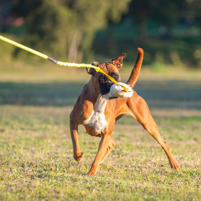 Wildhunde Whirlwind Standard Flirt Pole