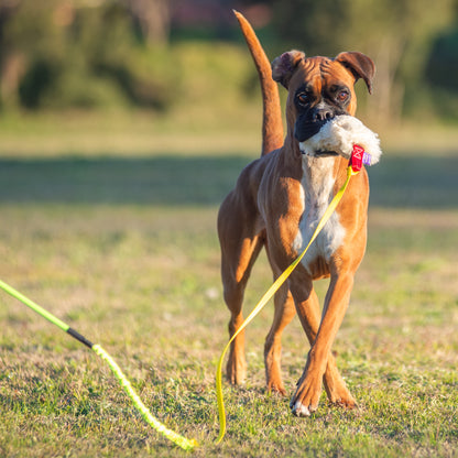 Wildhunde Whirlwind Standard Flirt Pole