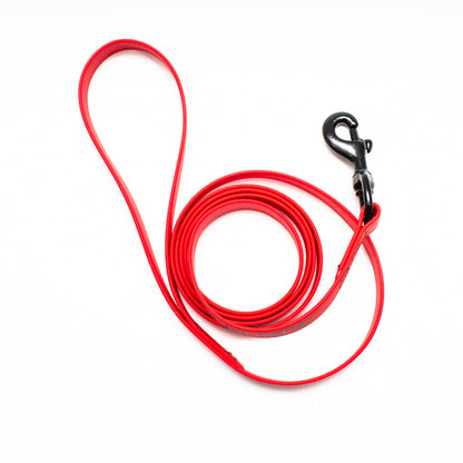 Biothane Leash 6ft