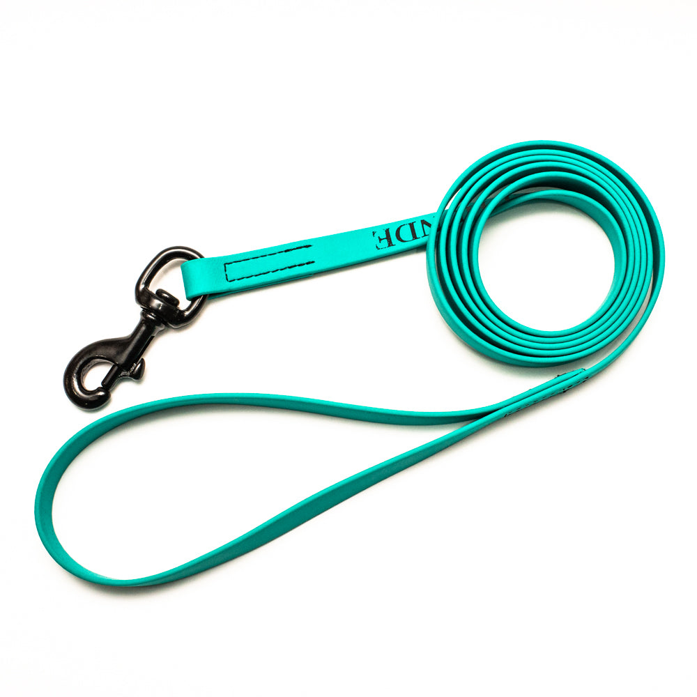 Biothane Leash 6ft