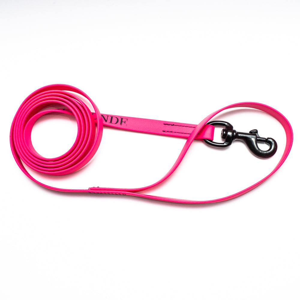 Biothane Leash 6ft