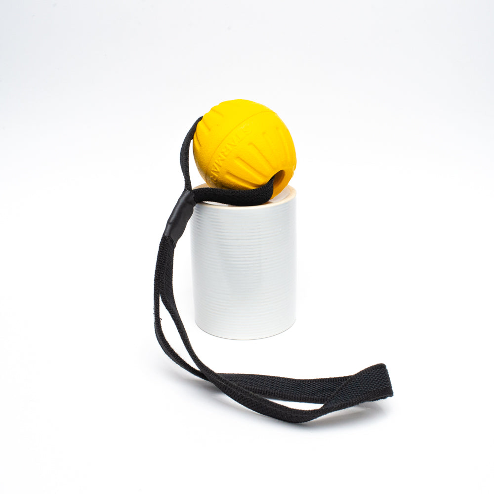 Starmark Durafoam Ball with Gripper Handle