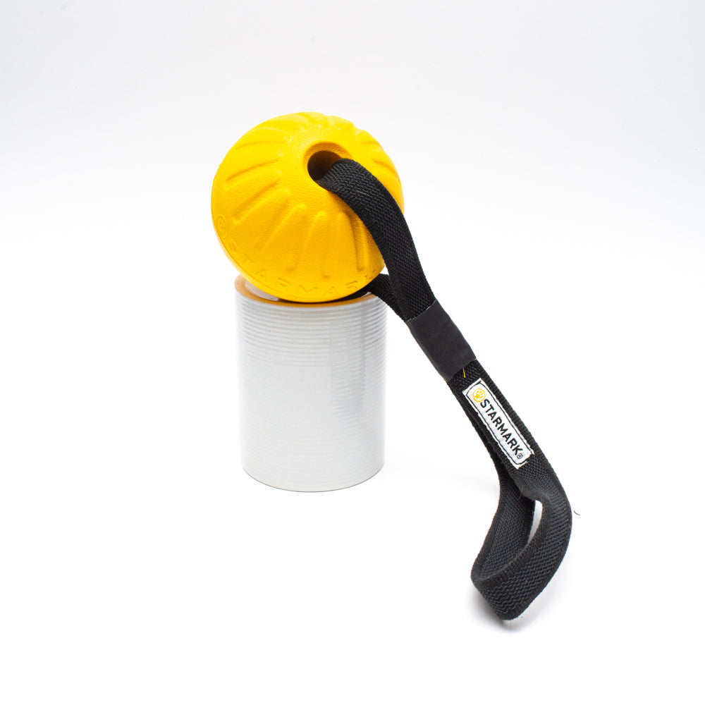 Starmark Durafoam Ball with Gripper Handle