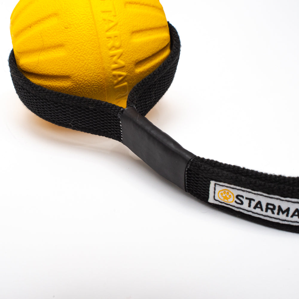 Starmark Durafoam Ball with Gripper Handle