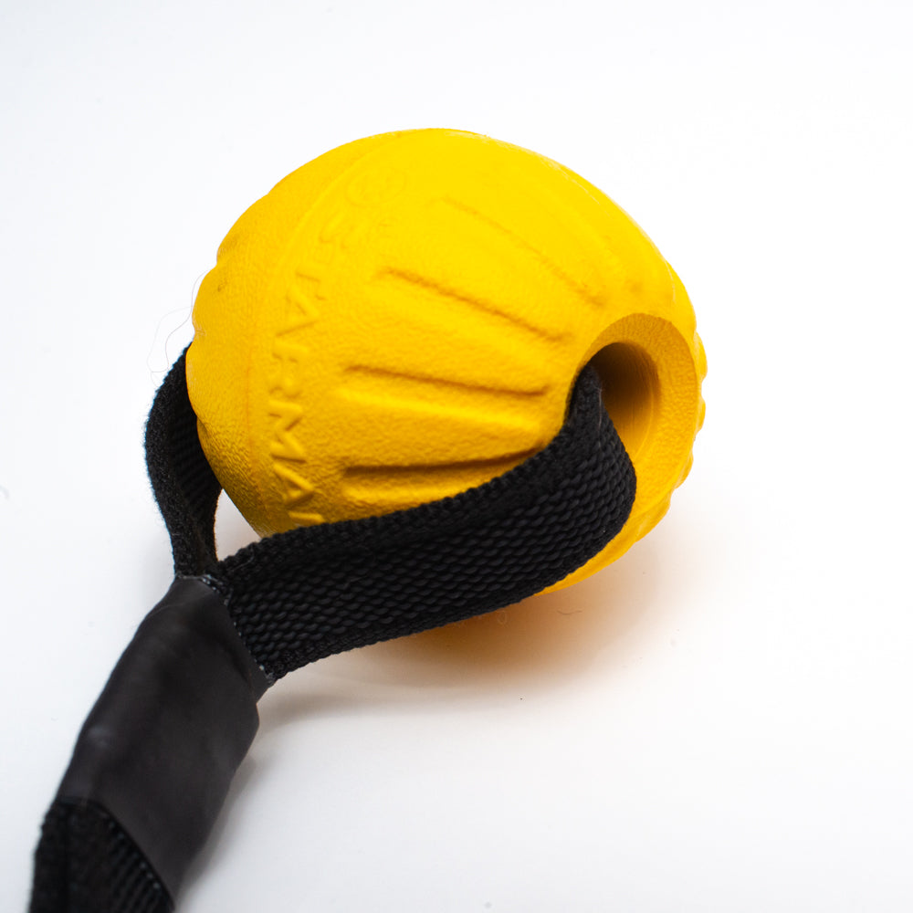 Starmark Durafoam Ball with Gripper Handle