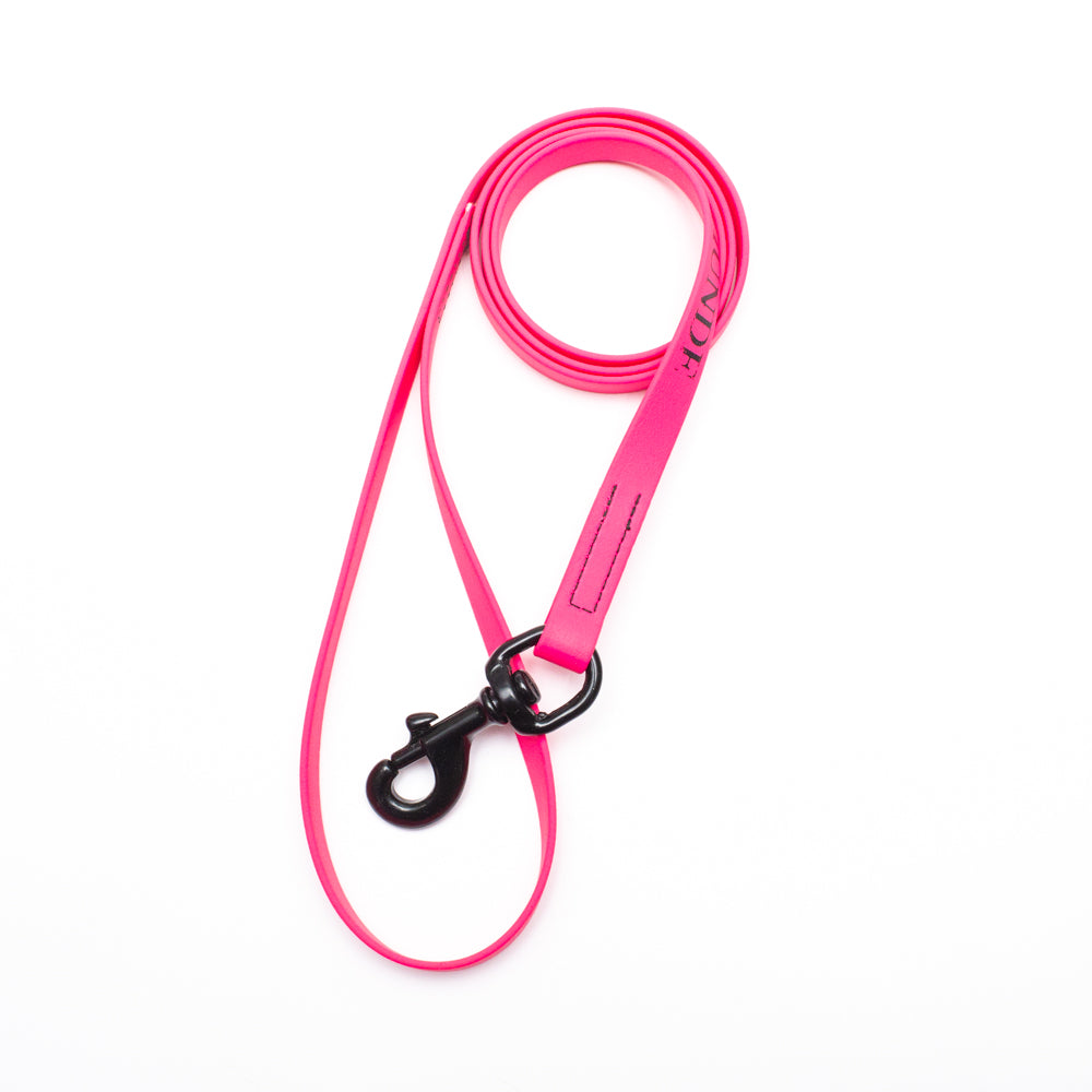 Biothane Leash 4ft