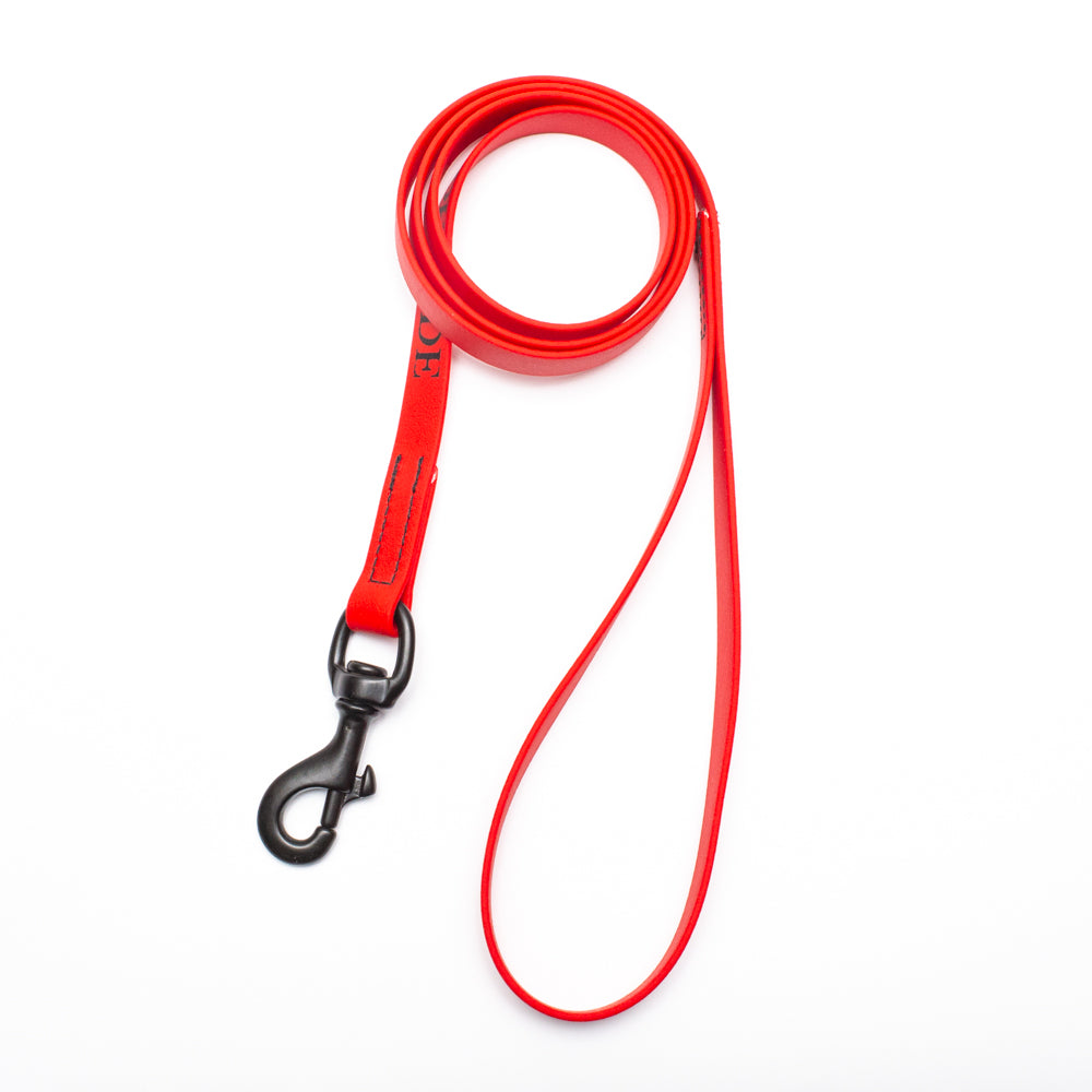 Biothane Leash 4ft