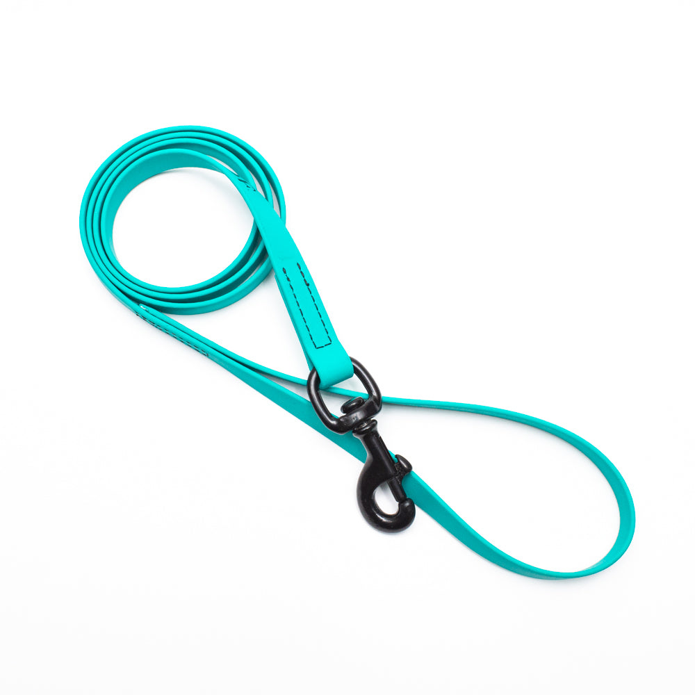 Biothane Leash 4ft